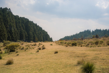 Obraz premium La Marquesa National Park, with the official name 