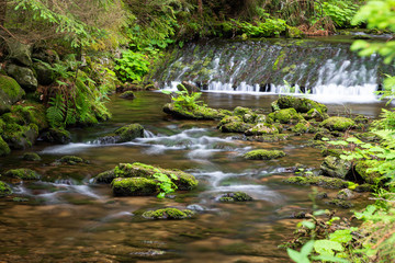 Water cascading over a rocky shelf in a river in a small picturesque waterfall with lush green vegetation