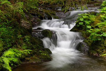 Water cascading over a rocky shelf in a river