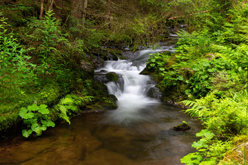 Obraz premium Water cascading over a rocky shelf in a river