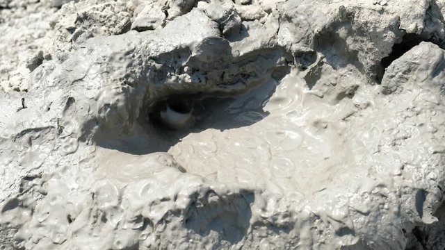 Crater of mud volcano bursting bubbles with natural gas. Famous nature landmark of Gobustan area near Baku in Azerbaijan