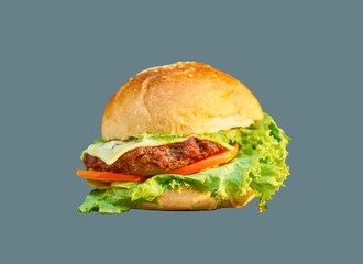Fresh hamburger with cutlet salad