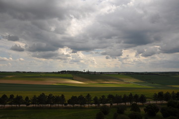 Montepulciano Countryside