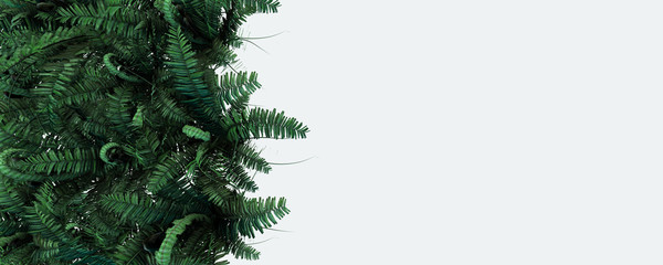 3d background illustration with green fern leaves