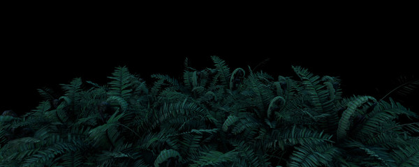 Fototapeta na wymiar 3d illustration bostonfern oval foliage night background
