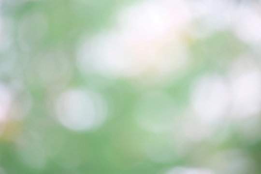 Bokeh green nature, Subtle background in abstract style for graphic design