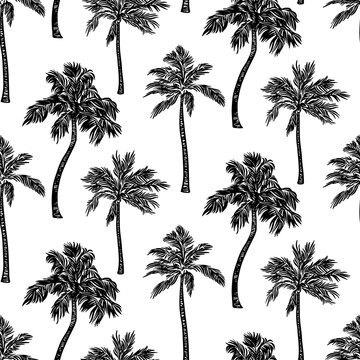 Black sketch palm tree outline seamless pattern. Vector drawing plants. Hand drawn endless illustration, isolated on white background