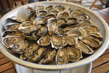 Oysters 3
