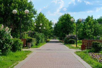 Summer park alley with flowerbeds and trees picturesque view