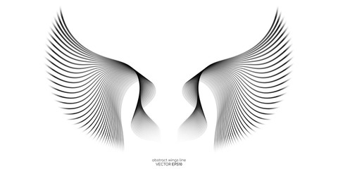 Abstract symmetry wings line isolated on white background. Vector illustration in concept of freedom.