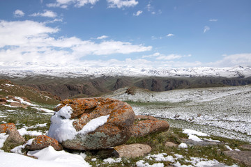Horses grazing on a snowy pasture. On the horizon, snow-capped mountains. The sky in the clouds....