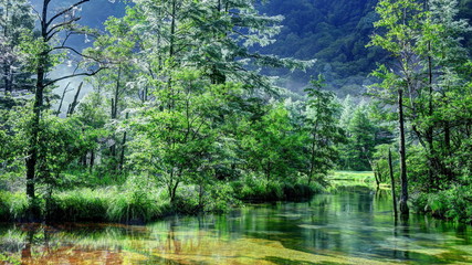 輝く田代池の朝