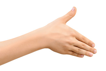 Child's hand is holding for handshaking, isolated on white background. Gesture of greeting or agreement.