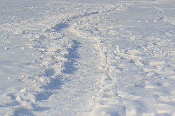 Fototapeta na wymiar The path on the tundra in the snow