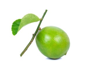 Lime isolated on white background
