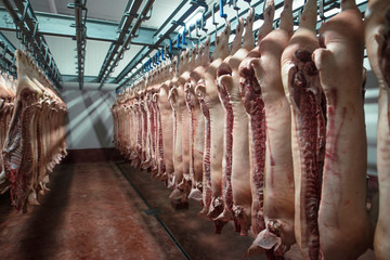 Meat industry. Cold storage area of food processing plant with pig carcass cut in half hanging of the hooks in slaughterhouse. Fresh raw meat ready to be shipped to the market.