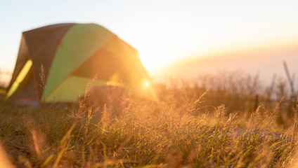 Tent for backpacker outdoor life with Summer nature landscape outdoor on sunset with bright sunlight  focus on golden meadow. Travel journey concept.