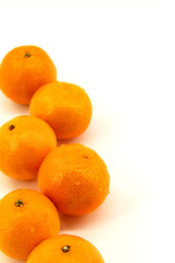 Vertical photo, white background, fresh tangerines in a row, six pieces, lie on the side of the photo