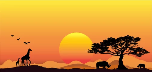 Selbstklebende Fototapeten Amazing sunset and sunrise.Panorama silhouette tree in africa with sunset.Tree silhouetted against a setting sun.Dark tree on open field dramatic sunrise.Safari theme.Giraffes , Lion , Rhino. © Mohwet