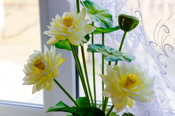 white lotus or water lily in artificial