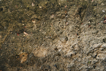 damaged concrete wall toned background