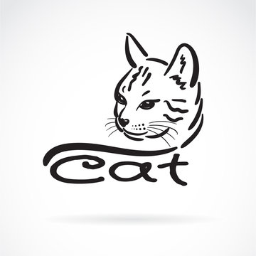 Vector of freehand cat head painting on white background. Pet. Animal. Easy editable layered vector illustration.