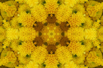 abstract floral kaleidoscope background