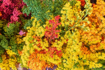 colorful floral composition for decoration