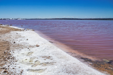 Laguna Salada in Torrevieja, Spain. Pink Salted lake. Salinas Natural Park.