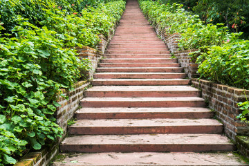 Old bricks staircase slope with tree plants background. Concrete with old bricks staircase steep surface