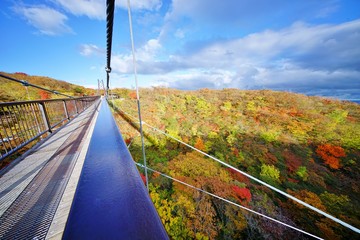 紅葉の中の吊り橋