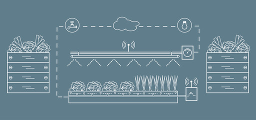 Obraz premium Smart farm and agriculture. Monitoring and control of temperature, humidity, light level. Cultivation of plants. New technologies. High yield.