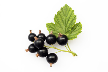Bunch of black currants on white background macro