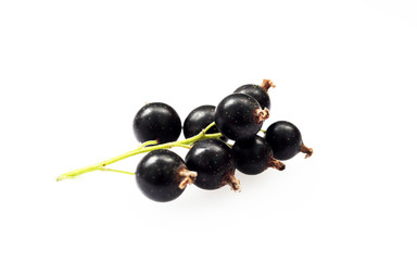 Bunch of black currants on white background macro