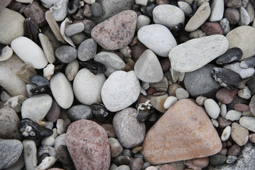 Fototapeta na wymiar small grey white pink pebbles on the beach background