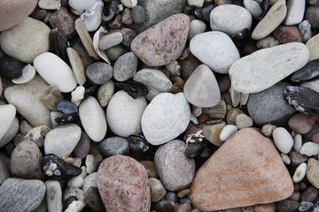 small grey white pink pebbles on the beach background