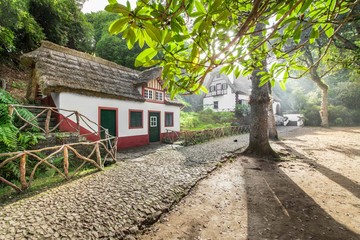 Fototapeta na wymiar Queimadas Forest Park in Santana - Madeira, Portugal