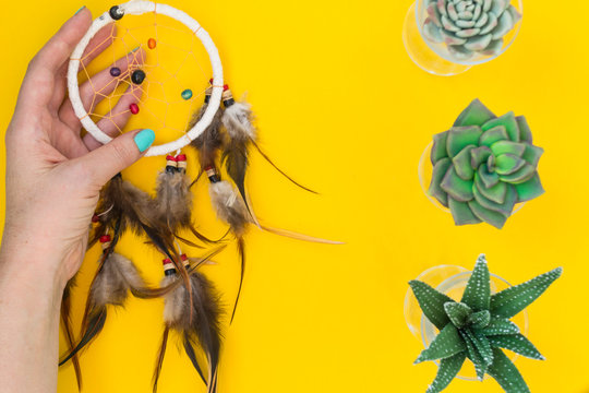 An Indian dreamcatcher with feathers lies in a woman's hand among cacti and succulents on a color bright yellow background.