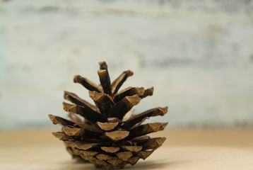 One Fir cone lies on the Crafting background.