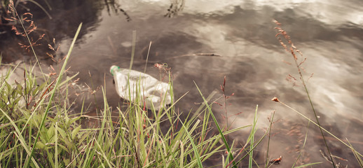 Young volunteers with trash bags clean the forest and the lake shore, people and the environment....