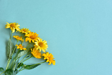 flowers on a blue background