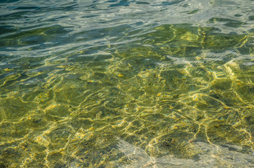 Fototapeta na wymiar Clear water in the lake close up sandy bottom