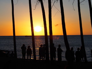 ビーチの夕景１