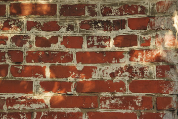 The photo shows an old brick wall.