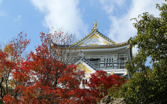 Best 金華山城 Images Stock Photos Vectors Adobe Stock