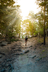 Obraz premium A hiker with backpack is walking in the forest on a sunny day. A two travelers is exploring new landscapes on the weekend