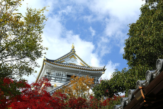 285 Best 紅葉風景 Images Stock Photos Vectors Adobe Stock