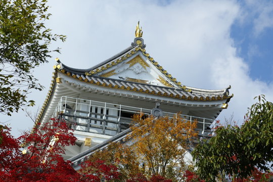 Best 金華山城 Images Stock Photos Vectors Adobe Stock