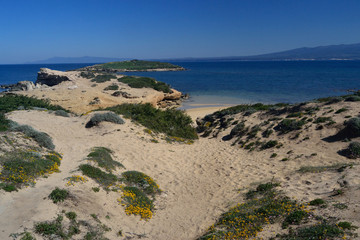 Fototapeta na wymiar La costa di Su Pallosu