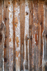 fence from slab. The wall of the wooden slab. Dwelling for the poor from wood waste.